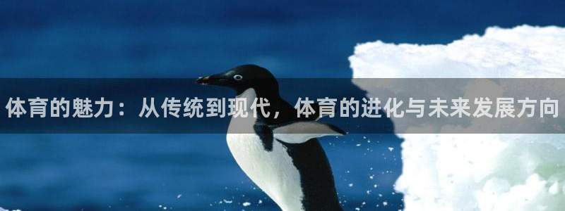 利记官网下载招商电话号码查询是多少：体育的魅力：从传