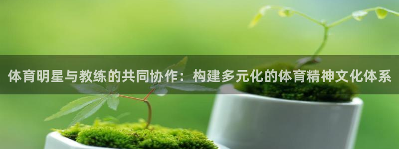 利记官网下载招商电话号码查询：体育明星与教练的共同协