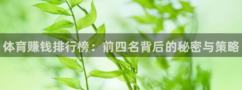 利记官网下载招商电话地址是多少：体育赚钱排行榜：前四名背后的