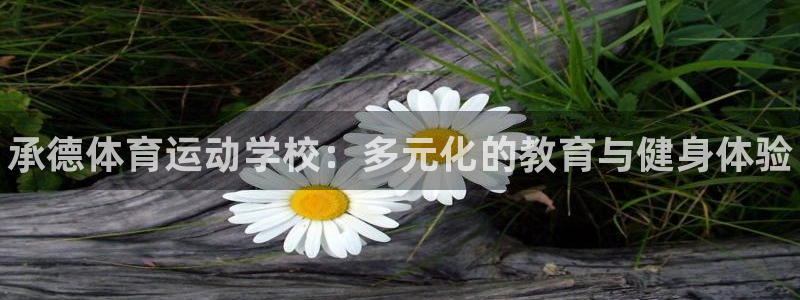 利记官方平台体育：承德体育运动学校：多元化的教育与健身体验