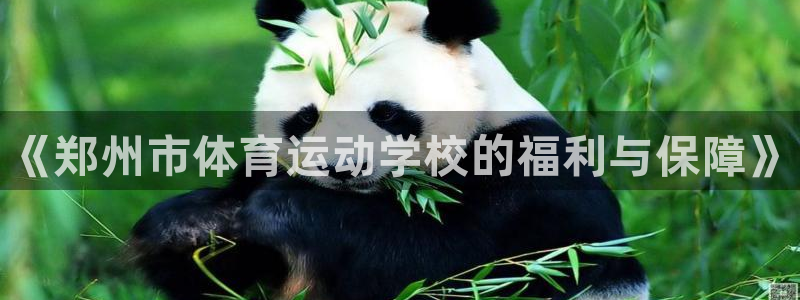 利记官网下载平台注册流程图：《郑州市体育运动学校的福利与保障