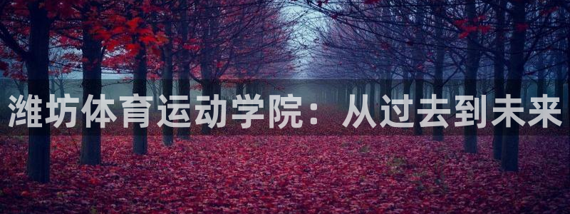 利记官方正版app官网：潍坊体育运动学院：从过去到未