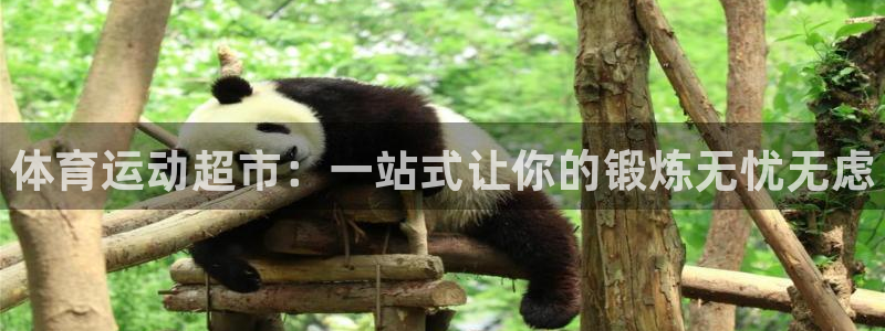 利记官方正版app神州