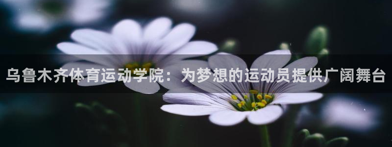 利记官网下载平台是正规平台吗：乌鲁木齐体育运动学院：