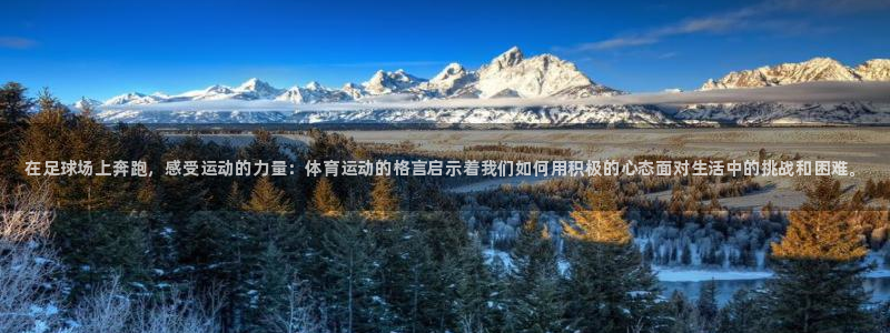 利记官网下载招商电话：在足球场上奔跑，感受运动的力量：体育运