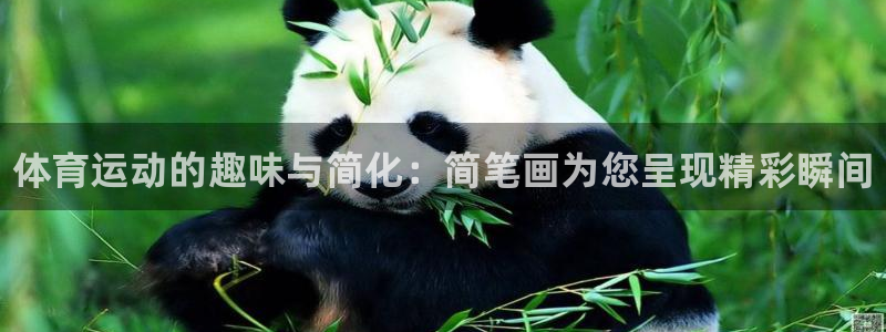利记官网下载平台注册流程图：体育运动的趣味与简化：简