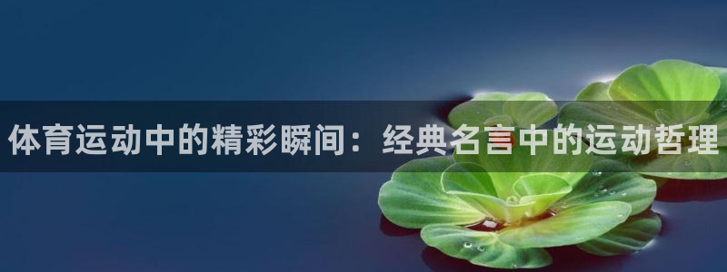 利记官方正版app娱乐代理怎么样：体育运动中的精彩瞬