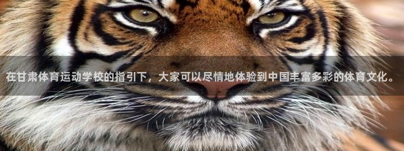 利记官方正版app娱乐首页官网下载