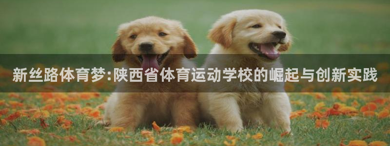 利记官网下载招商电话号码是多少号：新丝路体育梦:陕西