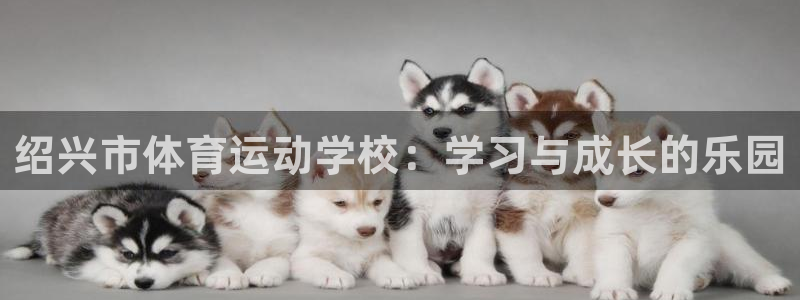 利记官网下载招商电话是多少号码：绍兴市体育运动学校：