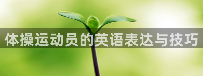 利记官方正版app官方