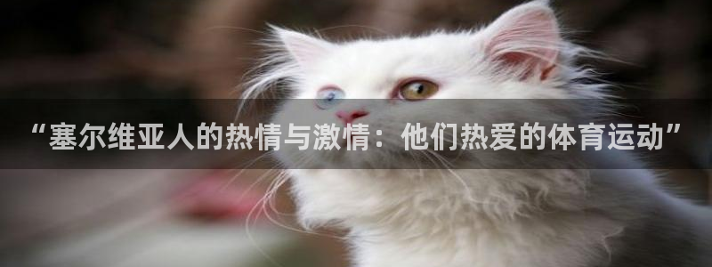 利记官网下载招商电话是多少啊：“塞尔维亚人的热情与激情：他们