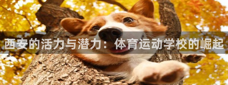 利记官网下载招商电话地址查询