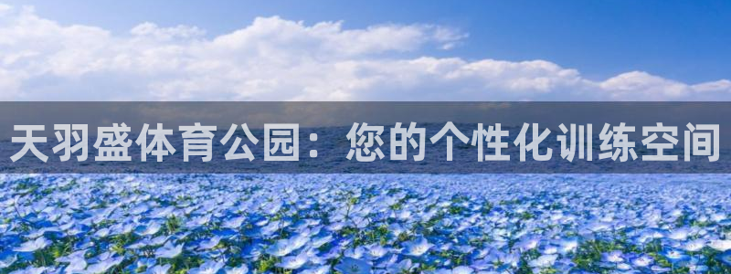利记官网下载招商电话号码是多少：天羽盛体育公园：您的个性化训