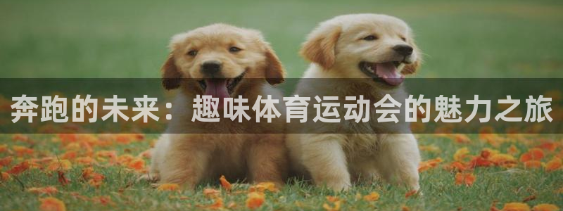 利记官方正版app娱乐：奔跑的未来：趣味体育运动会的魅力之旅