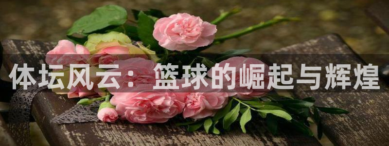 利记官网下载招商电话号码是多少啊：体坛风云：篮球的崛起与辉煌