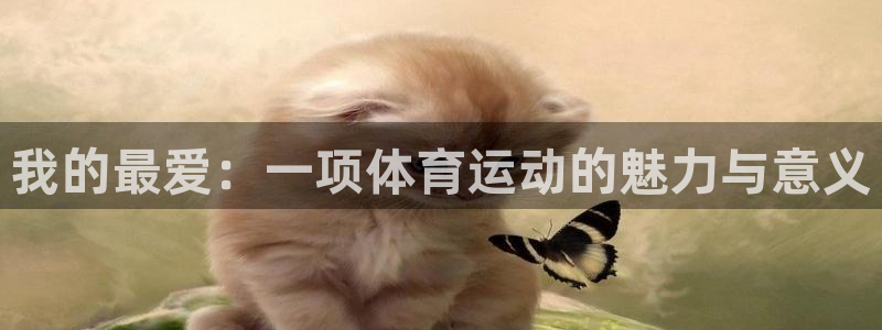 利记官网下载招商电话地址是多少：我的最爱：一项体育运动的魅力