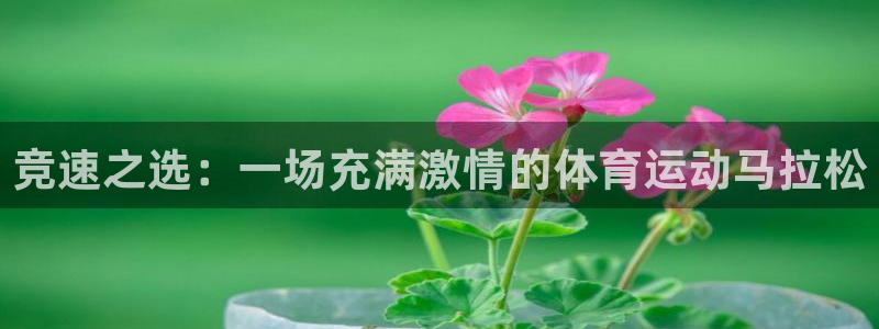 利记官方正版app集团E.ON：竞速之选：一场充满激情的体育