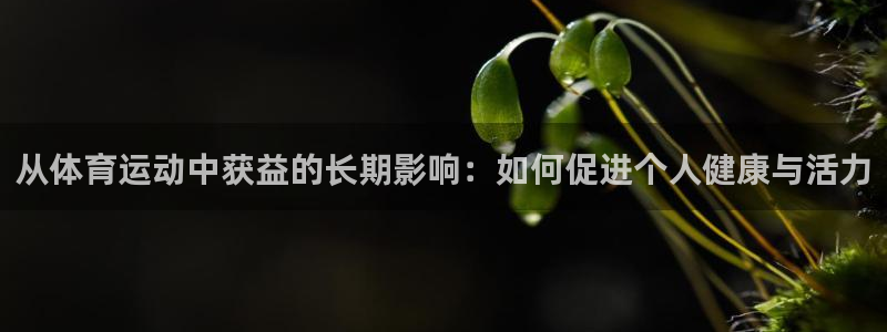利记官网入口