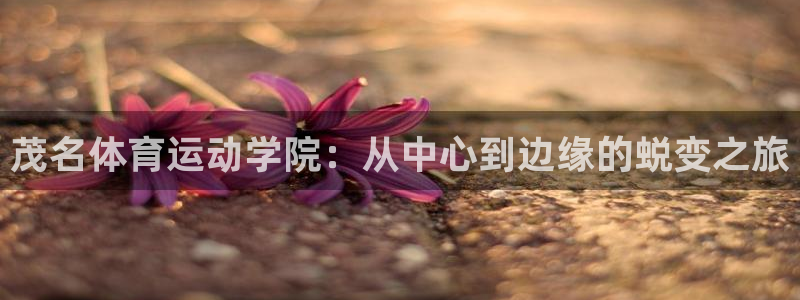 利记sbobet的最新进展