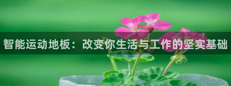  利记官网APP：智能运动地板：改变你生活与工作的坚实基础