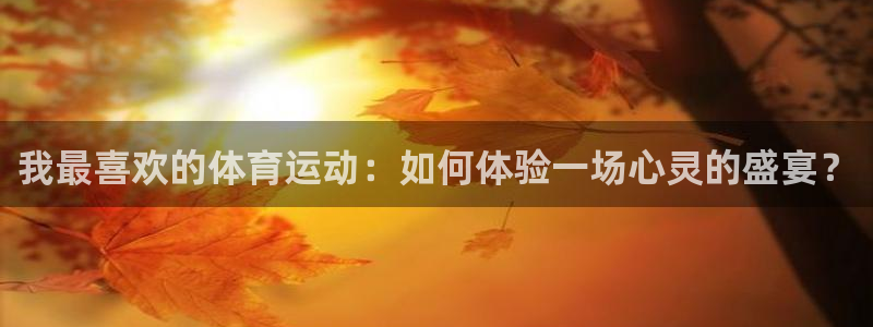  利记入口：我最喜欢的体育运动：如何体验一场心灵的盛宴？