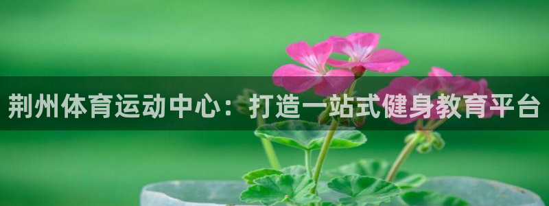 利记官网地址