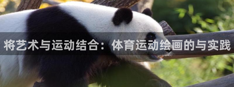 利记sbobet官方网站入口：将艺术与运动结合：体育运动绘画