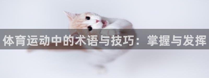 利记官网网址
