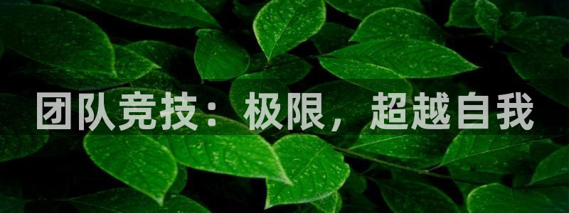 利记手机官网：团队竞技：极限，超越自