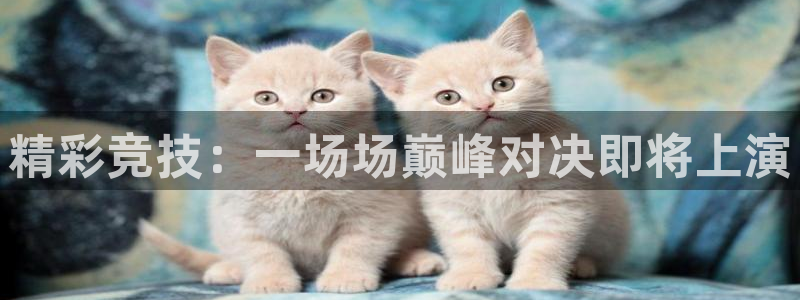 利记科技：精彩竞技：一场场巅峰对决即