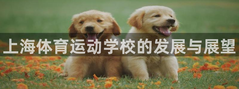 利记官网登录入口：上海体育运动学校的