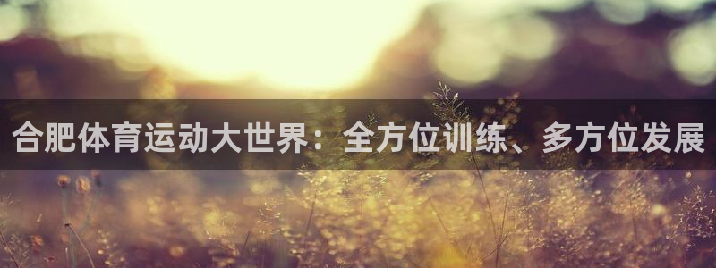 利记体育app：合肥体育运动大世界：