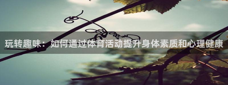 利记SBO是合法的吗：玩转趣味：如何
