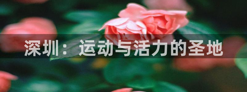 利记手机官网：深圳：运动与活力的圣地