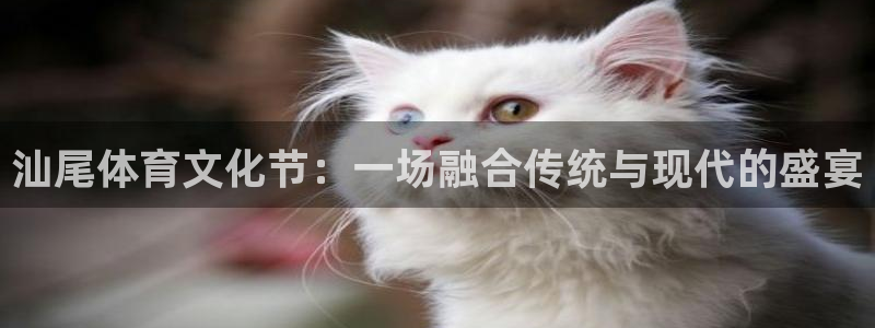 利记官方正版app娱乐首页网站大全