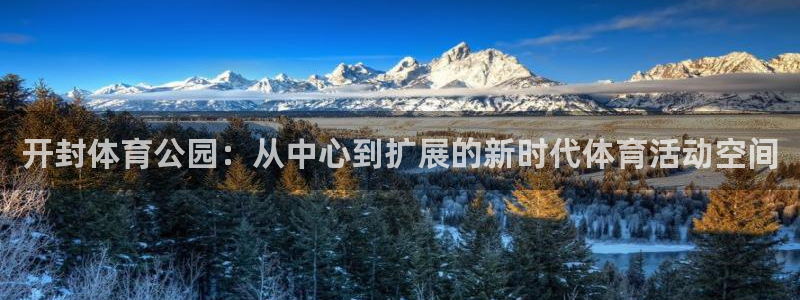 利记官方正版app代理