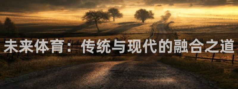 德国利记官方正版app集团：未来体育：传统与现代的融合之道