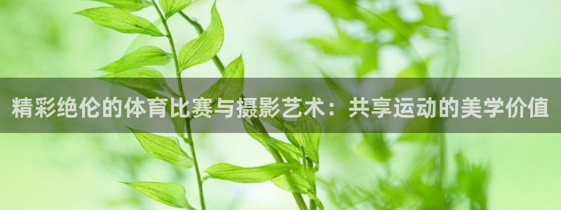 利记官方正版app集团E.ON：精彩绝伦的体育比赛与摄影艺术